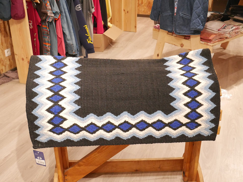 Miniature : BLANKET POOL'S