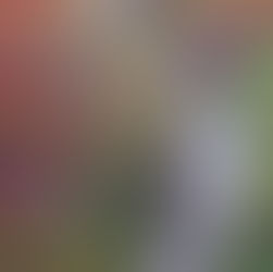 True Christian Characteristics