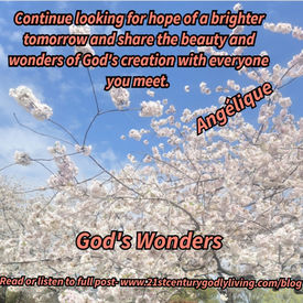God’s Wonders
