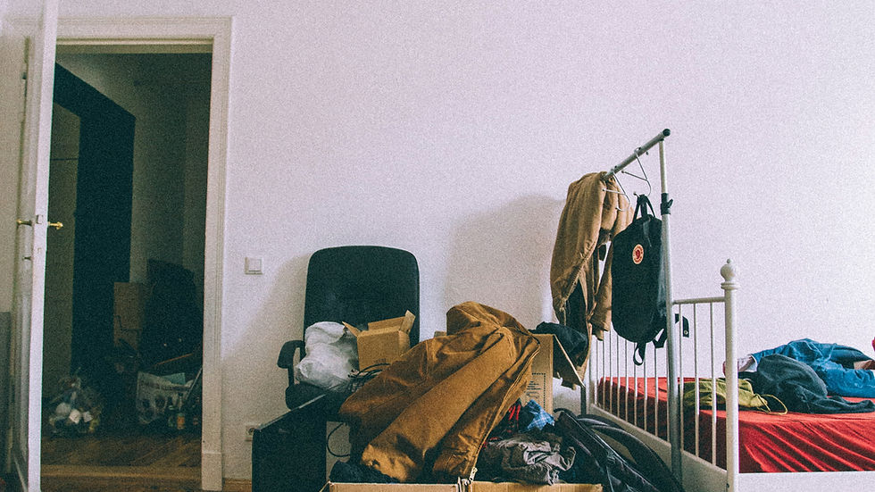 Clean and organized living room area