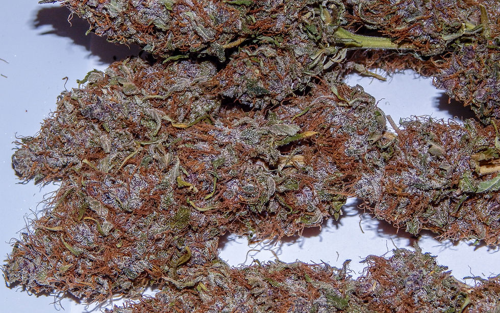 Beautiful Colors of Cannabis
