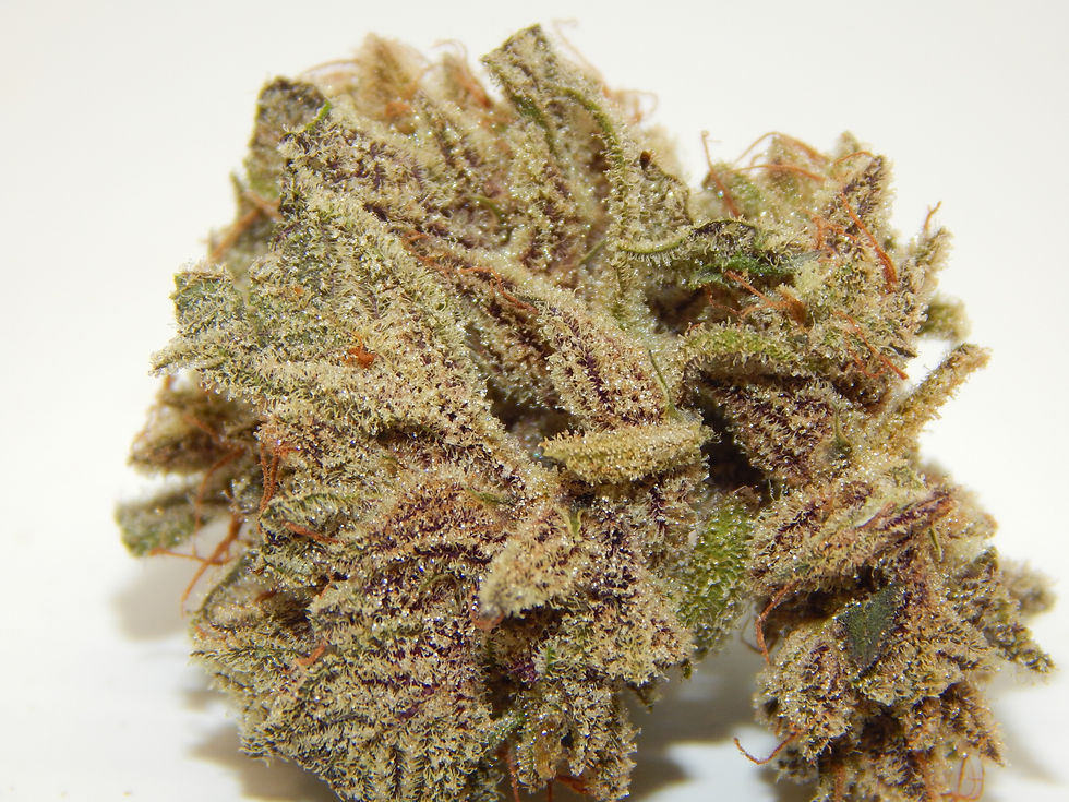 Mac Dragon glistening so hard almost miss the purple pops hiding underneath all that resin.