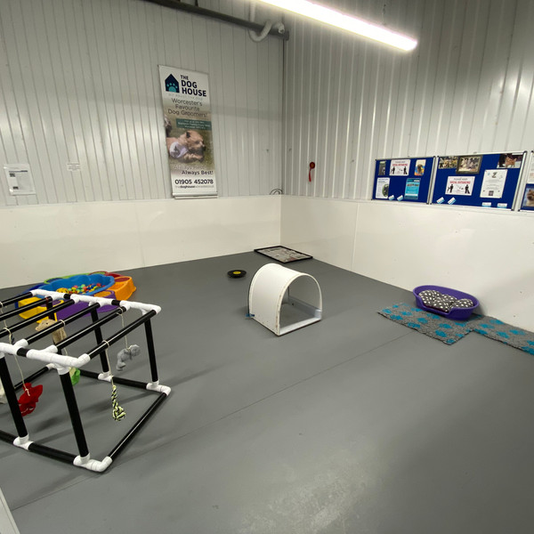 Doggy Day Care The Dog House Services Limited