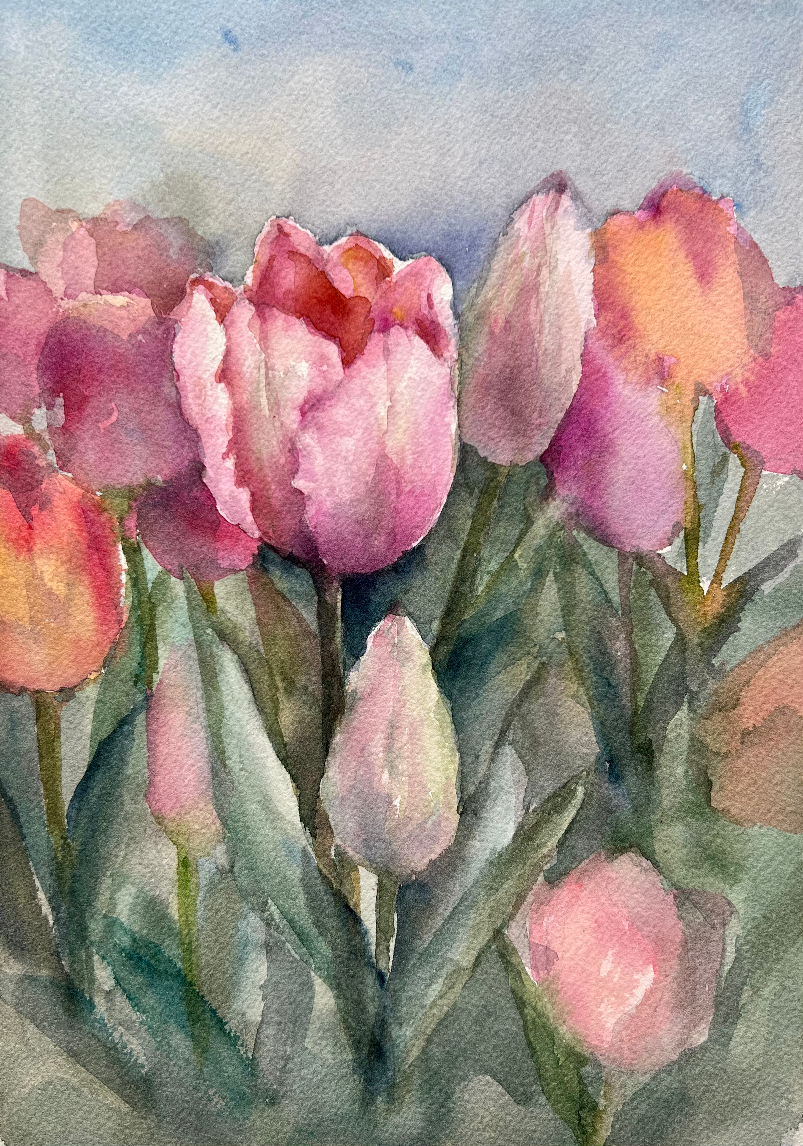 Tulips 3