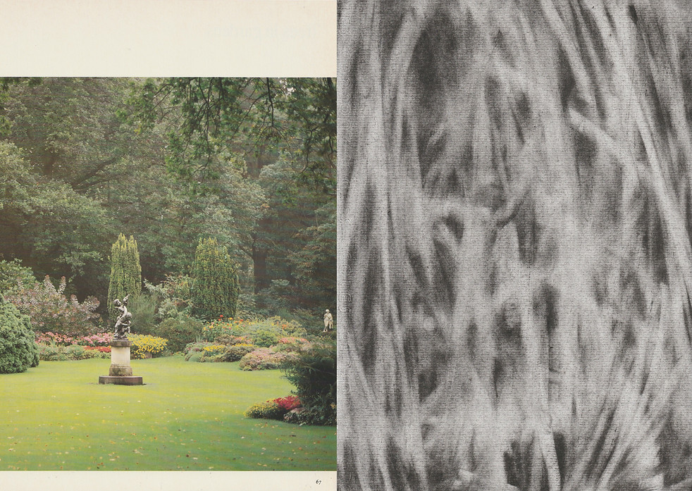 Feuillage_6_charcoal on paper and collage_29,7 cmx42cm_2024.jpg