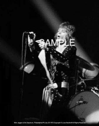 jagger with sample.jpeg