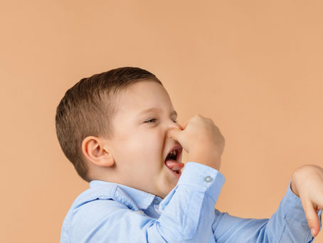 Odor Removal Services - Detection and Eradication Checklist