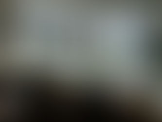 Model 9800 CompositWood Window