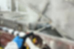 food plant cleaning services_