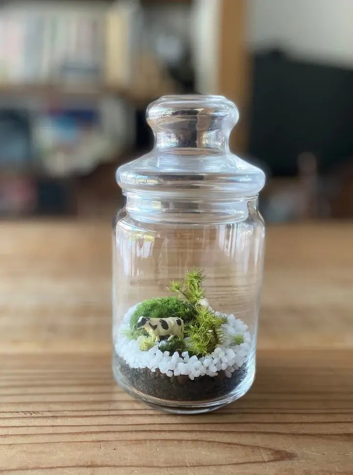 サムネイル： 有福MOSS テラリウム制作キット