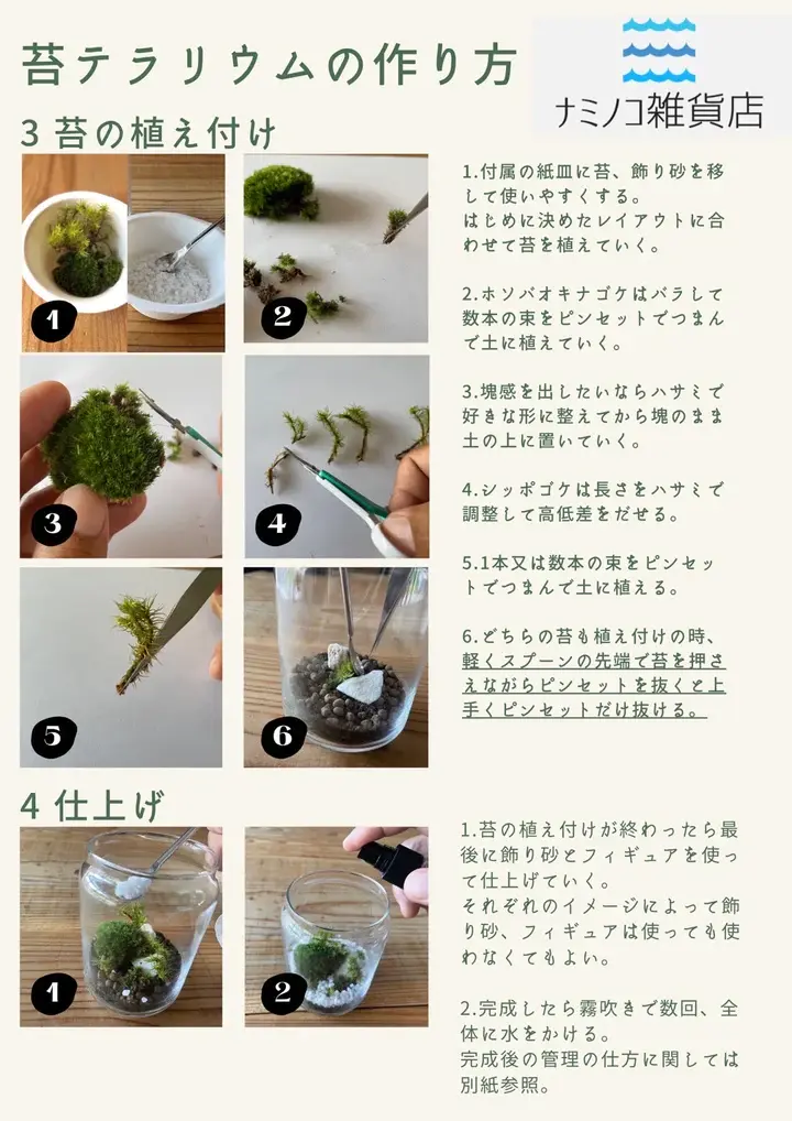 サムネイル： 有福MOSS テラリウム制作キット