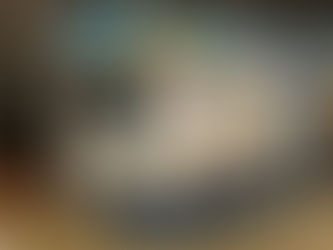 アバンセシステム(ANPIC)様