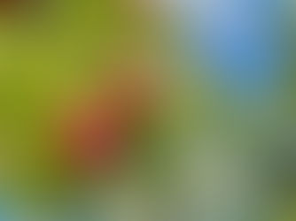 「令和4年度 地域特産品及び流通経路に関する調査研究業務」が完了しました