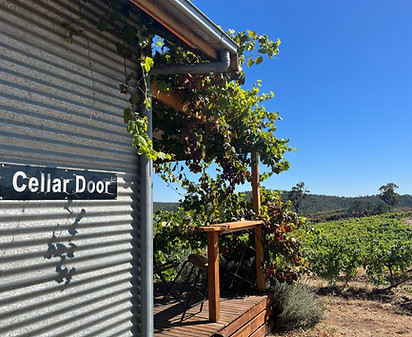 Zig Zag cellar door