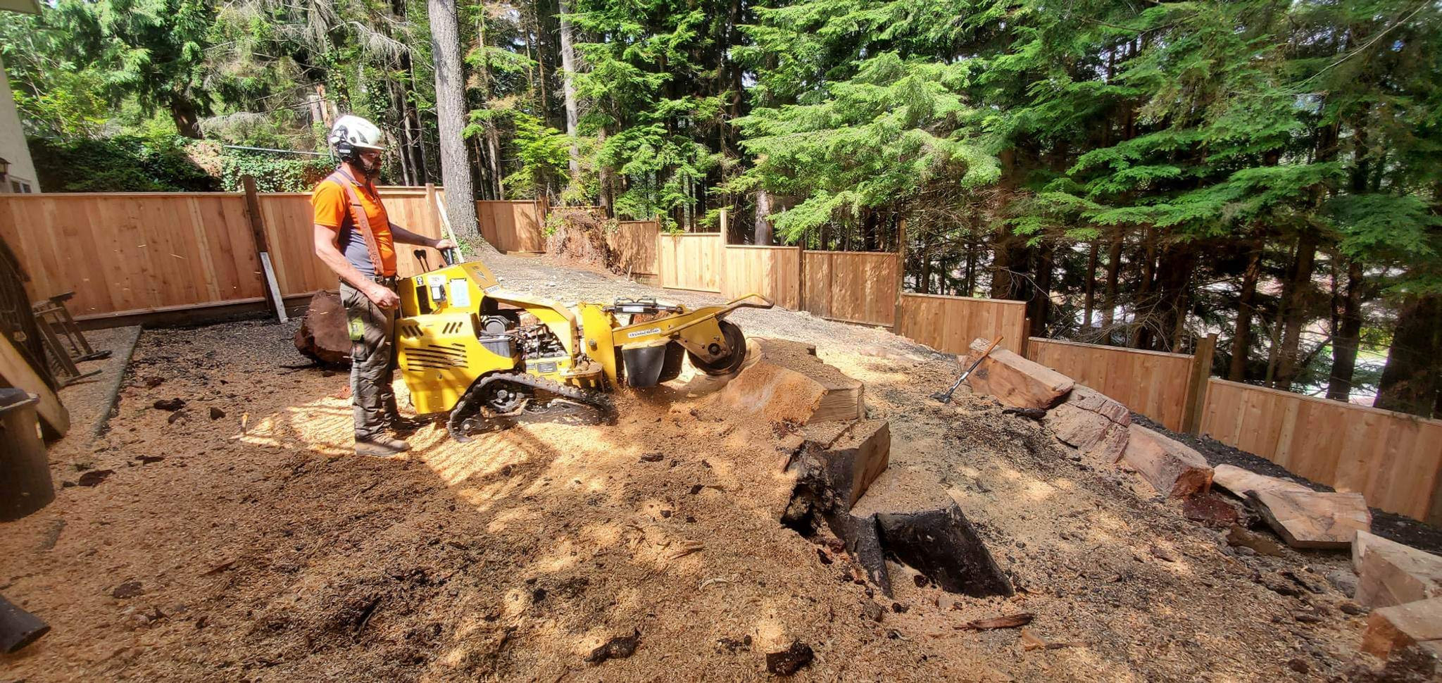 stump removal