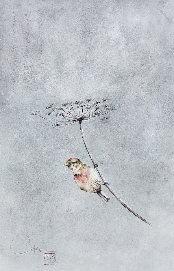 sizerin flammé_DxO re_edited.jpg