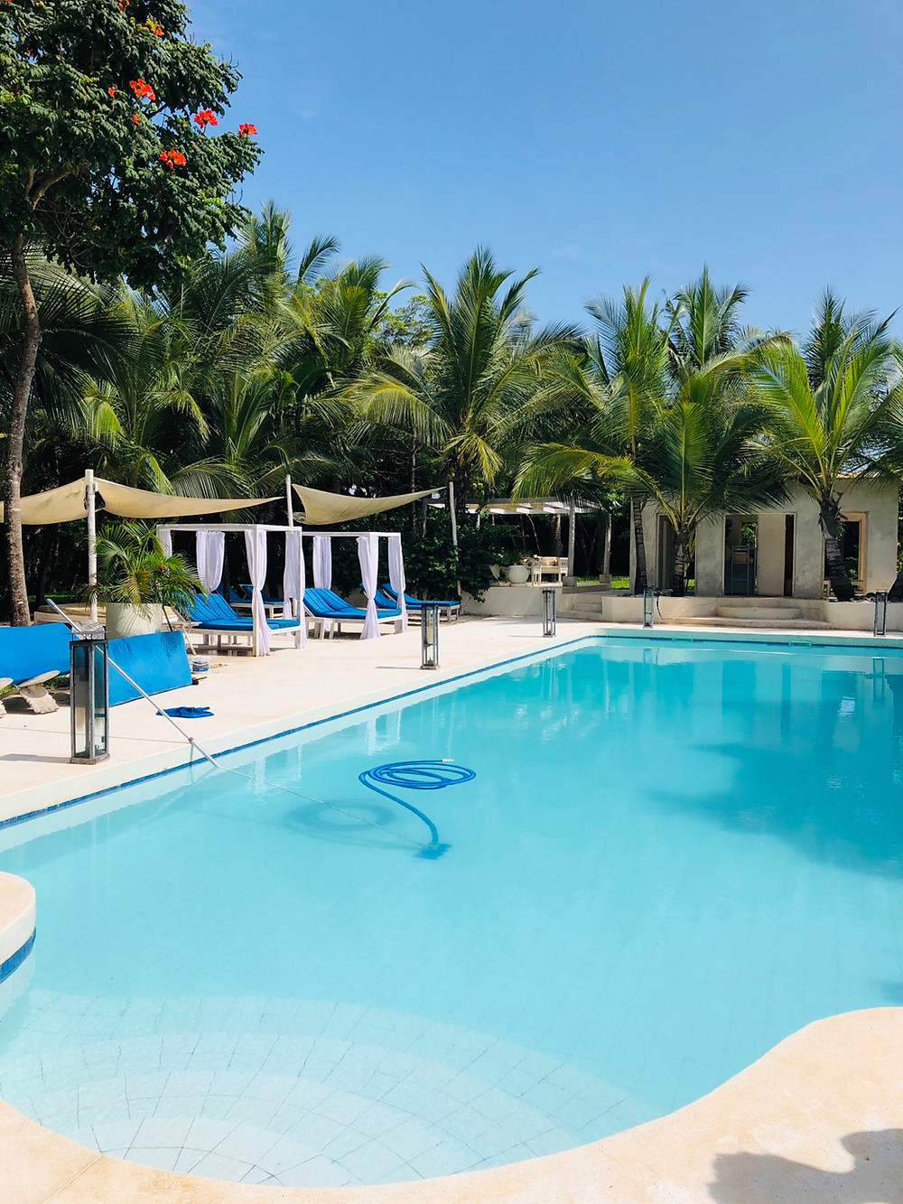 Diani Beach Kenya What To Do And Tips