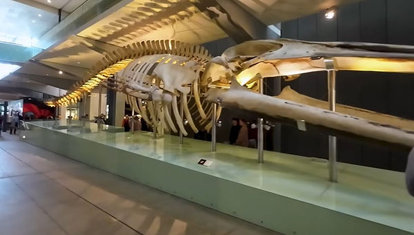 Australia116.jpg