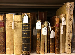 A dozen rare books of various materials lined up on a shelf.
