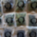 EE780F32-3634-4A03-9DF7-B1BA03702909.jpeg