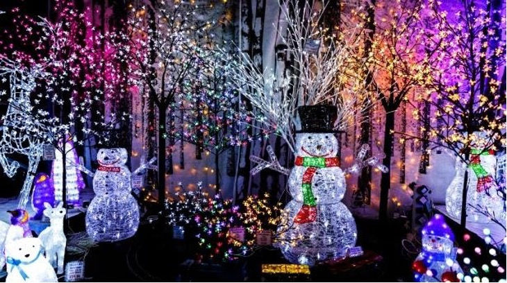Crazy Christmas Lights