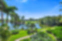 Grey Oaks Naples Homes for Sale