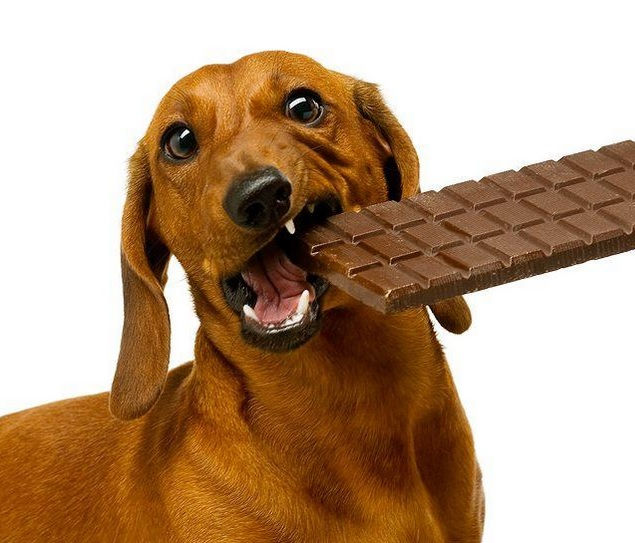 ree