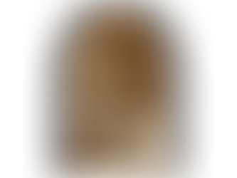 The Journey of Microcement: From Industrial Roots to Mallorca’s Design Darling