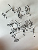 IMG_5404.jpeg