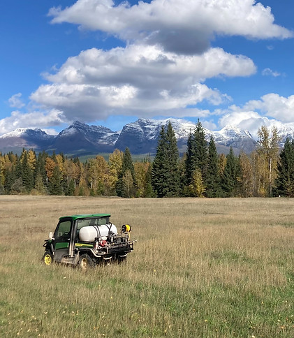 En route to apply noxious weed control in a forested area to manage invasive species and safeguard native vegetation.