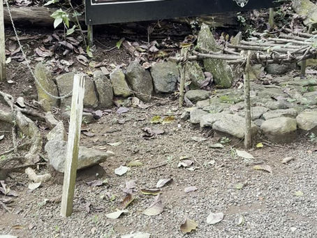 Puerto Rico: una cocina de sabores que migran.