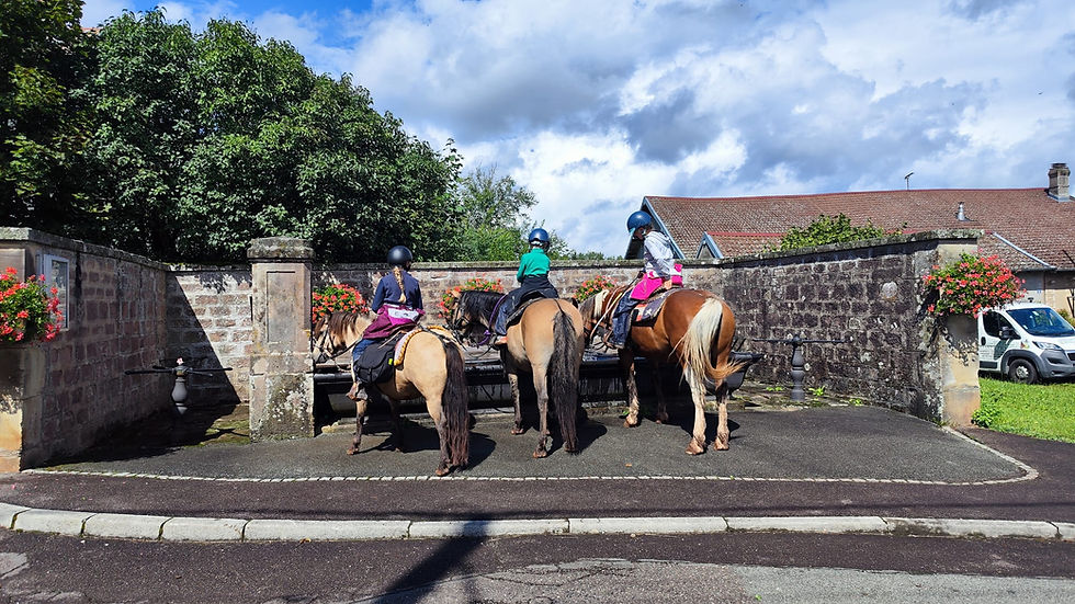 Stage Automne G3 et +