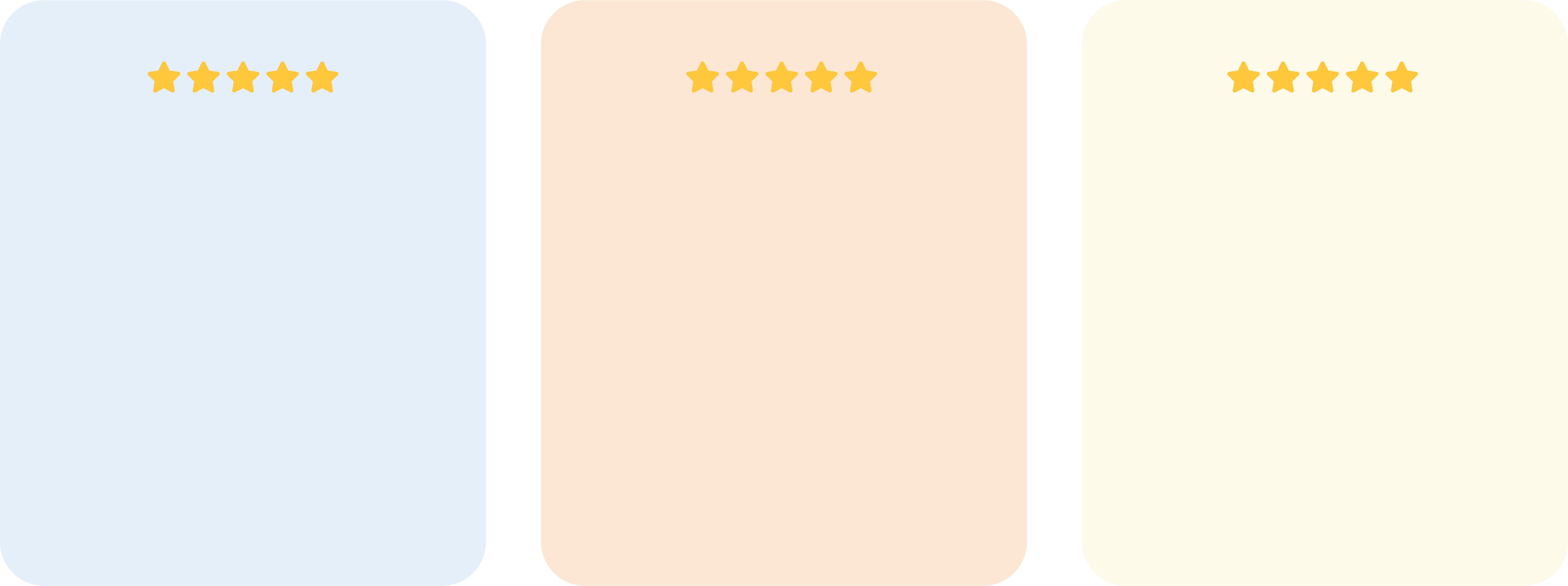 Customer giving a 5-star testimonial 2