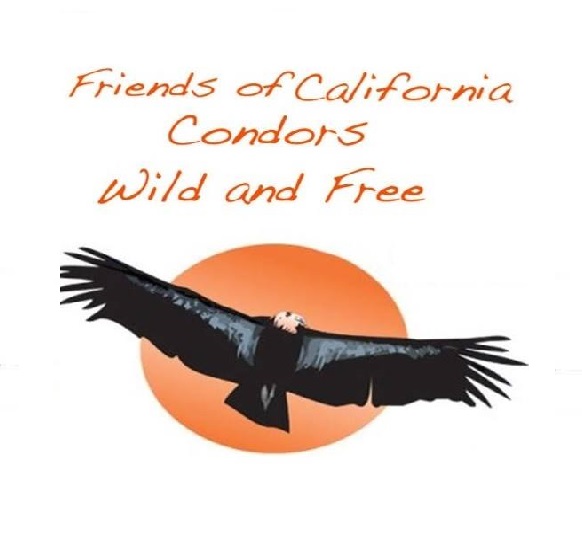 friends of condors wild and free logo