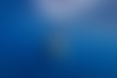 #1 threat to shark species today is shark fin soup