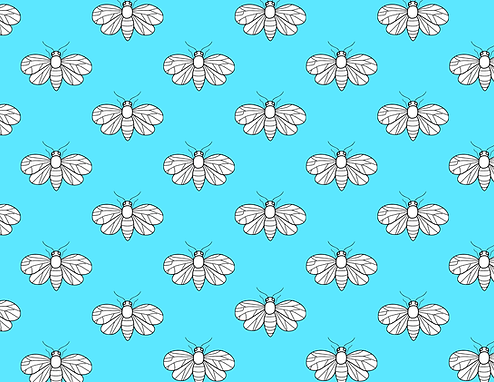 Fireflies.pdf.png