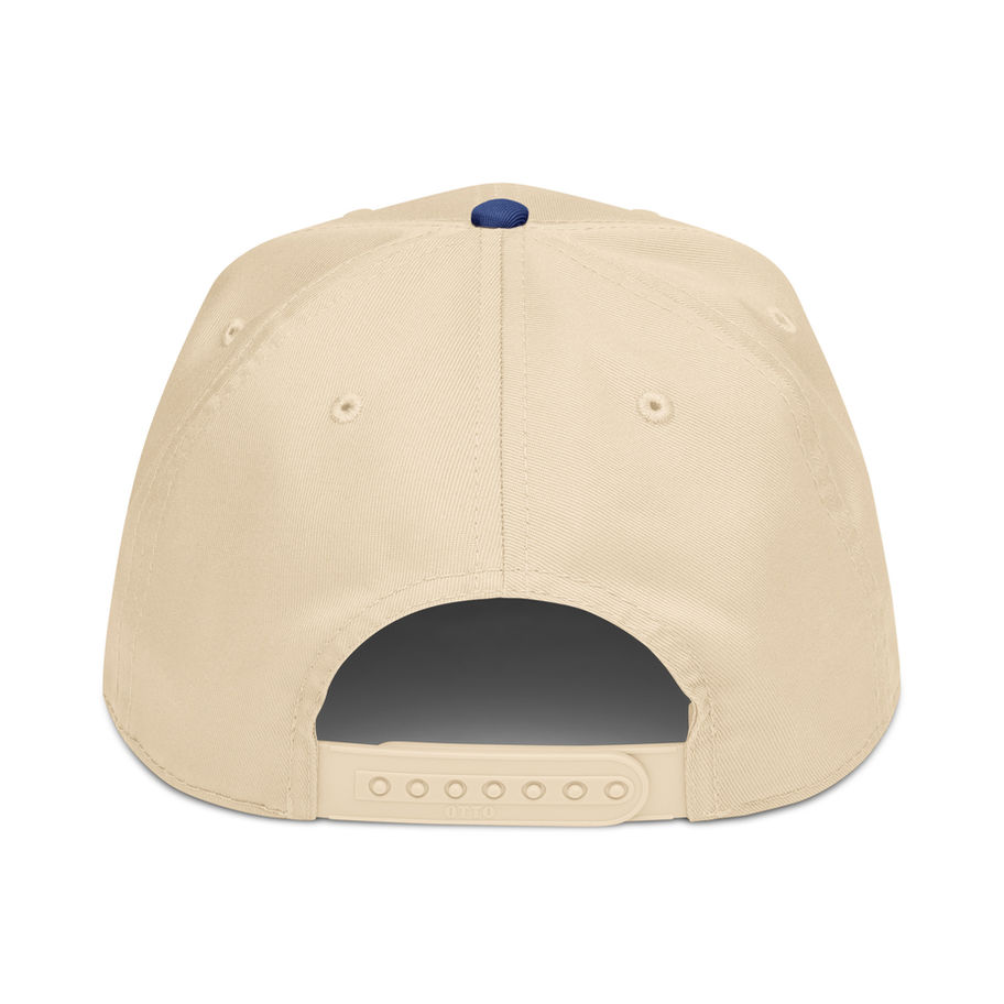 Tide Paid embroidered 5-panel cap with structured front and flat bill