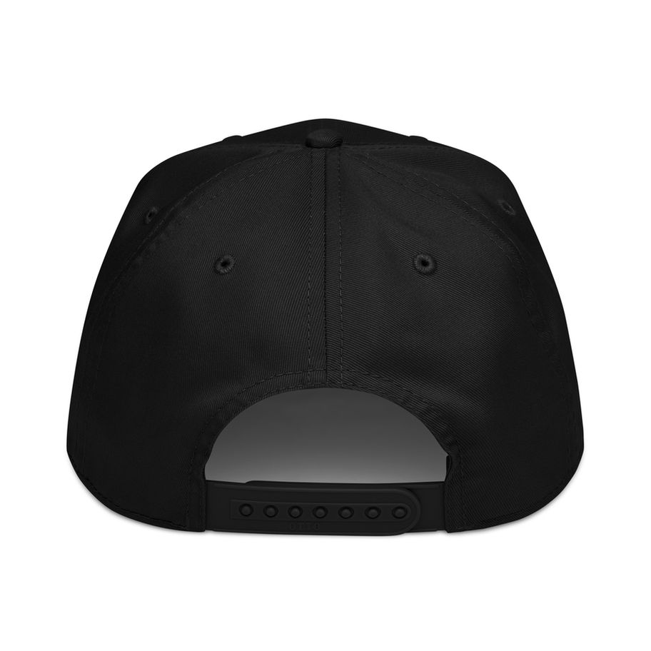 Tide Paid embroidered 5-panel cap with structured front and flat bill
