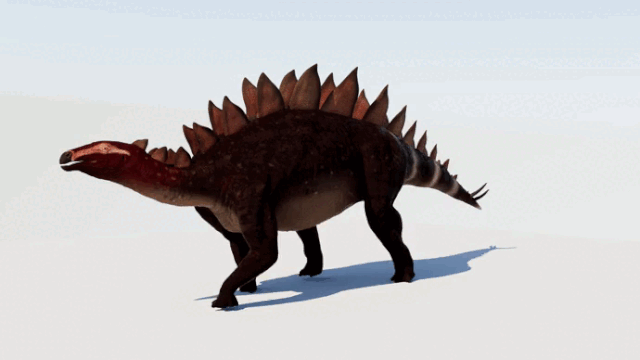 Berezovsk_stegosaur_(walking).gif