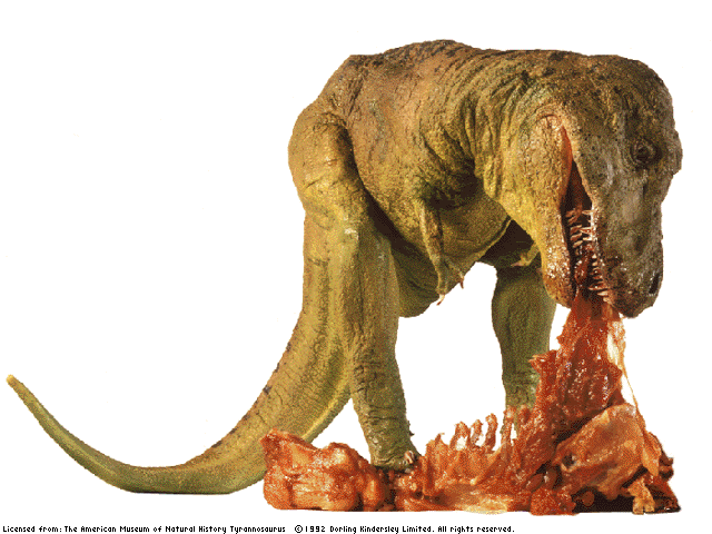 t-rex2.gif