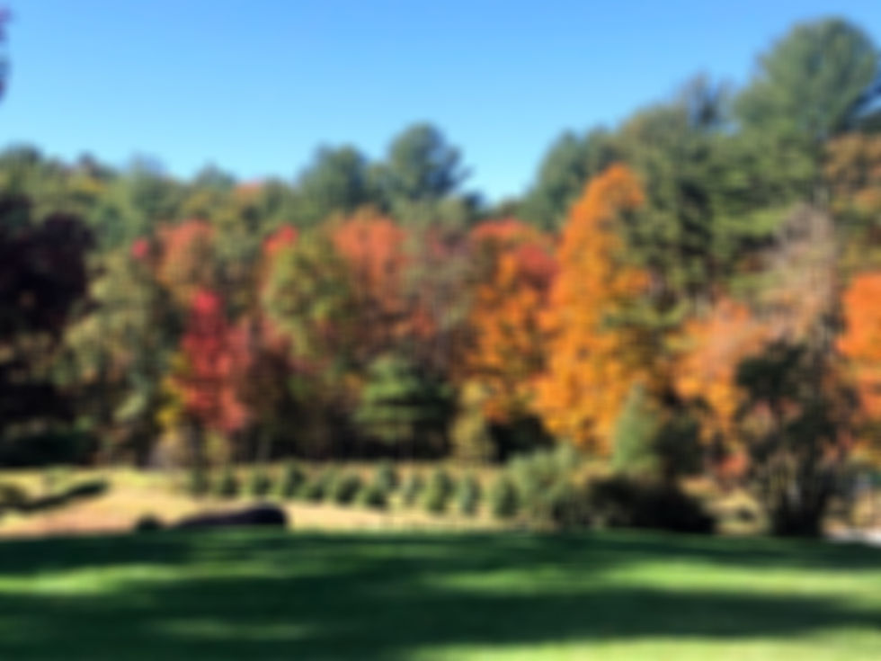 IMG_8325 (2)_edited.jpg