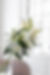 untitled-2-155.jpg