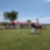 Polo Experience Day.jpg