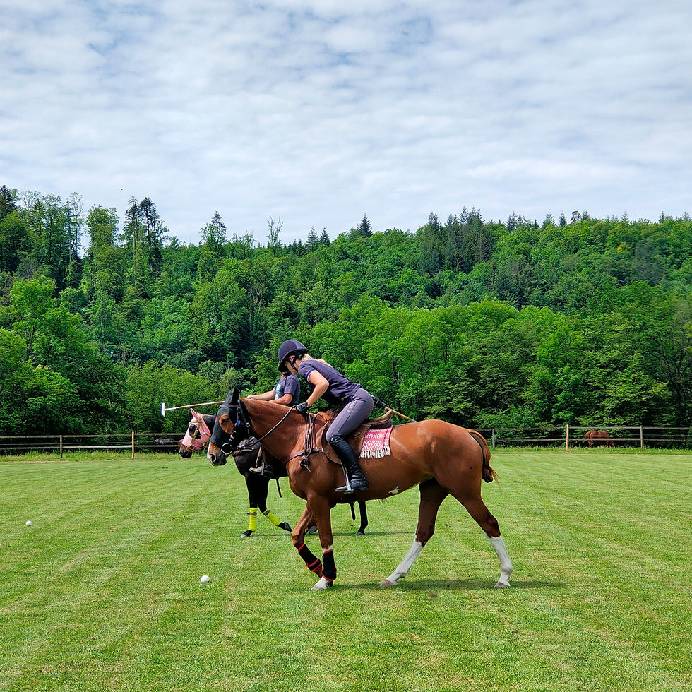 Polo Trial Day
