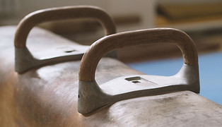 Pommel Horse