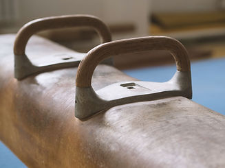 Pommel Horse