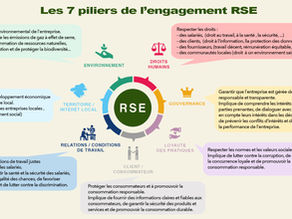 Les 7 piliers de la Responsabilité Sociétale des Entreprises 