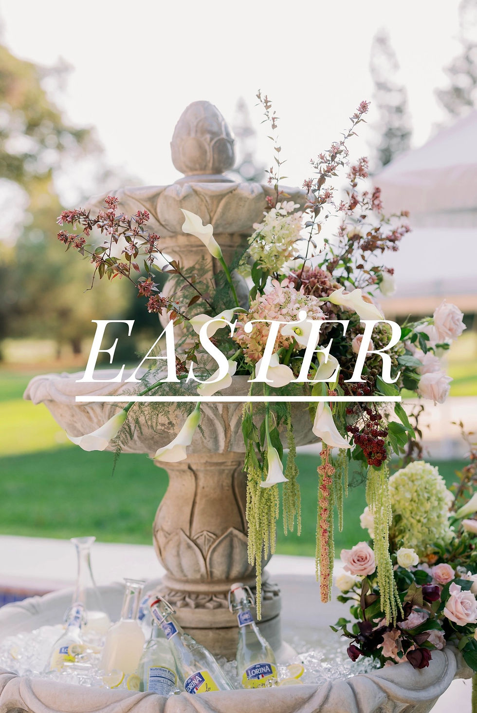 3rd Annual Easter Party at TULU Vineyards! 