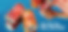 banner-01.jpg