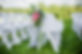 AdobeStock_122968517.jpeg